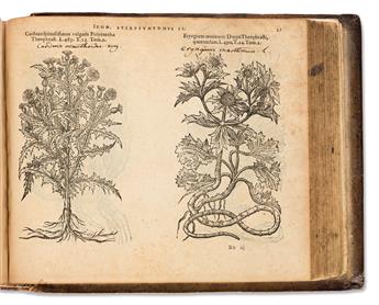LObel, Matthias de (1538-1616) Plantarum seu Stirpium Icones.